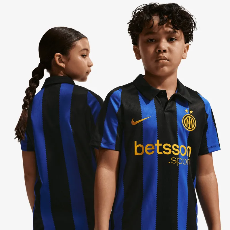 Nike Inter Stadium 