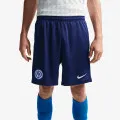 Nike Inter Strike 