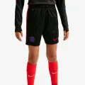 Nike PSG Strike 