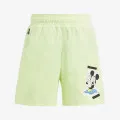 adidas Dy Mic Swim Sho 