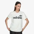 adidas Graphic 