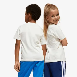 adidas Adiraptor 
