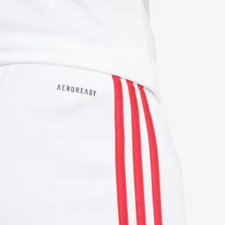 adidas SQUA25 SHO M 