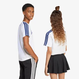 adidas T-shirt Codes Collegiate 