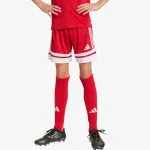 adidas SQUA25 SHO Y 