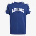 adidas Codes Collegiate 