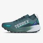 adidas TERREX AGRAVIC GTX 