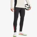 adidas LFC TR PNT 