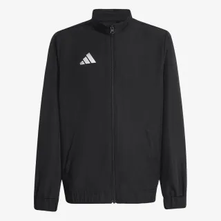 adidas ENT26 TK JKTY 
