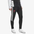 adidas LFC TR PNT 