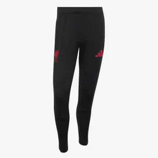 adidas LFC TR PNT 