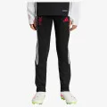 adidas LFC TR PNTY 
