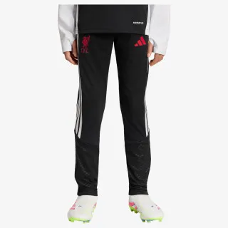 adidas LFC TR PNTY 