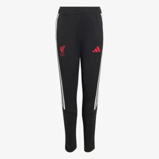 adidas LFC TR PNTY 