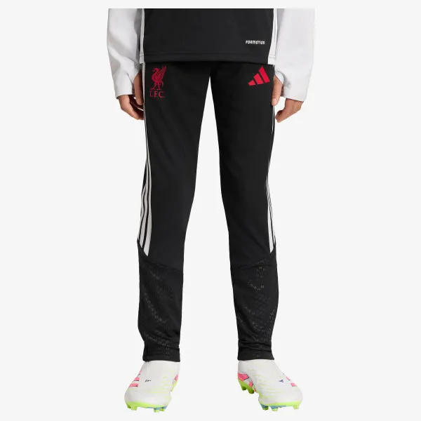 adidas LFC TR PNTY 