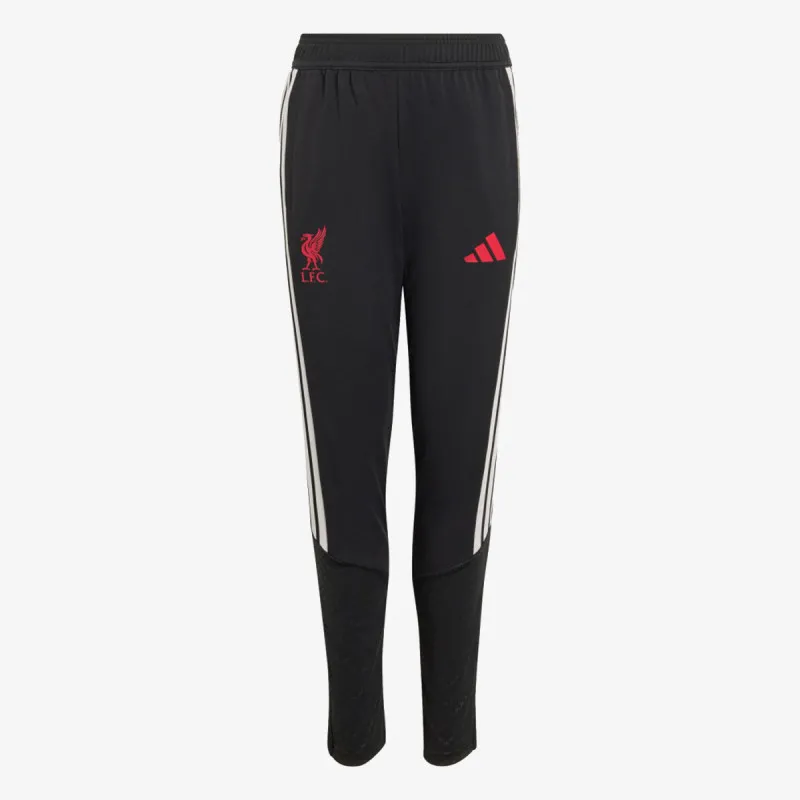 adidas LFC TR PNTY 