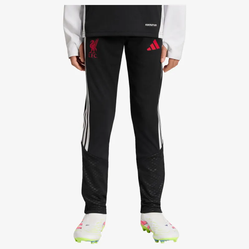 adidas LFC TR PNTY 