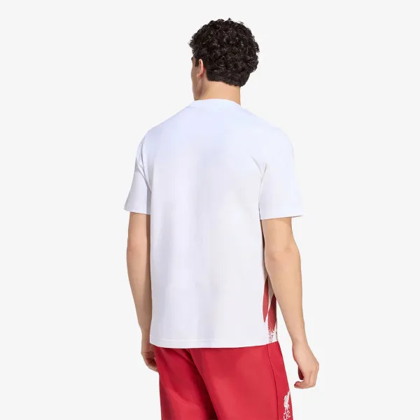 adidas LFC ST GR TE 