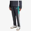 adidas TIRO ES WINPNTY 