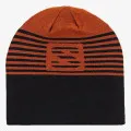 Salomon FLATSPIN REVERSIBLE BEANIE 