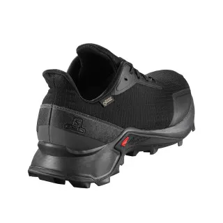 Salomon ALPHACROSS GTX 