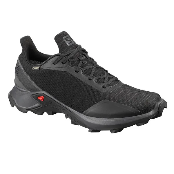 Salomon ALPHACROSS GTX 
