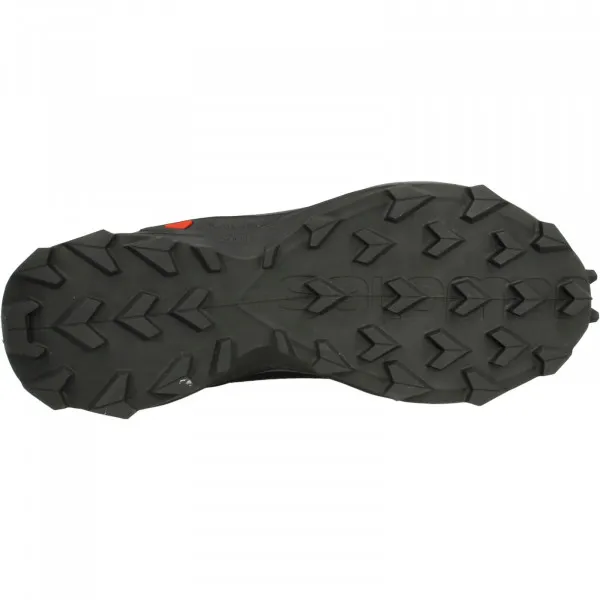 Salomon ALPHACROSS GTX 