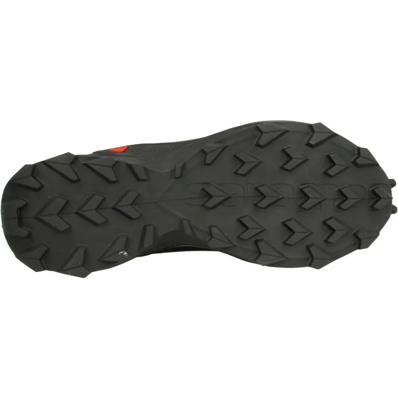 Salomon ALPHACROSS GTX 