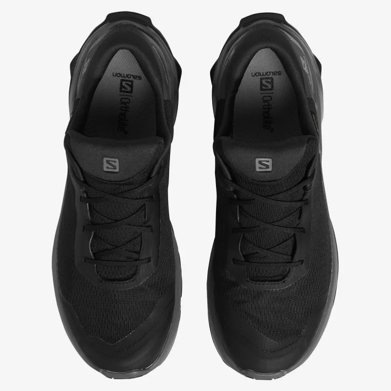 Salomon X REVEAL GTX 