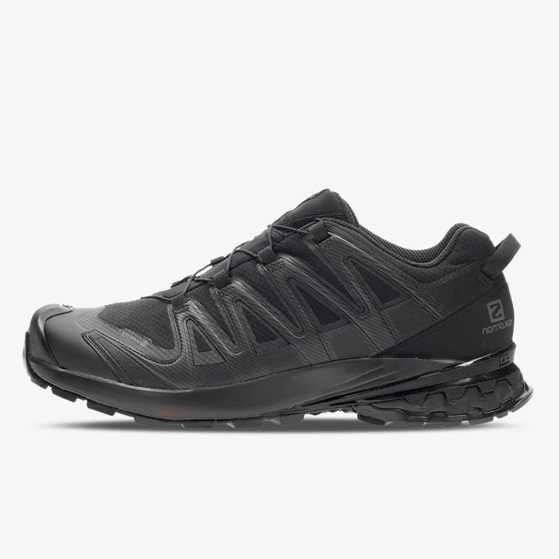 Salomon XA PRO 3D v8 GTX 
