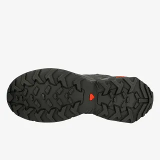 Salomon X RAISE MID GTX 