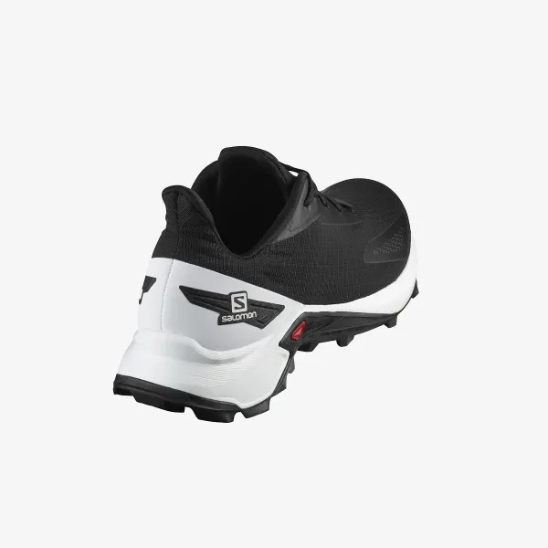 Salomon ALPHACROSS BLAST 