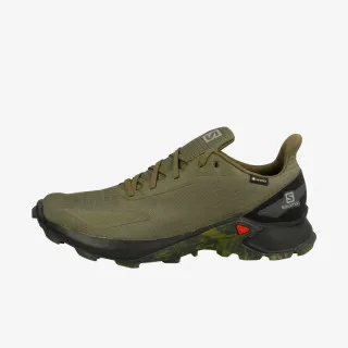 Salomon ALPHACROSS BLAST GTX 