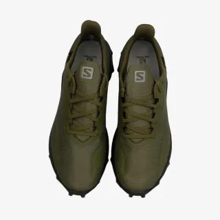 Salomon ALPHACROSS BLAST GTX 