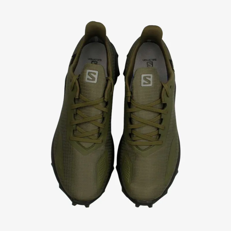 Salomon ALPHACROSS BLAST GTX 