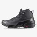 Salomon CROSS HIKE MID GTX 