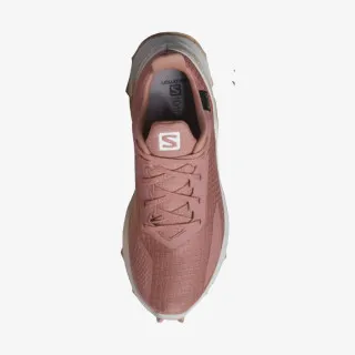 Salomon ALPHACROSS BLAST GTX W Brick Dust 