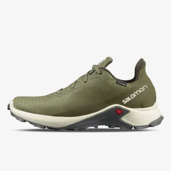 SALOMON TENISICE ALPHACROSS 3 GTX 