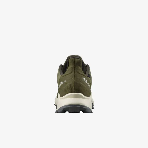 Salomon ALPHACROSS 3 GTX 