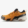 Salomon CROSS HIKE GTX 
