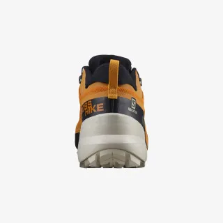 Salomon CROSS HIKE GTX 