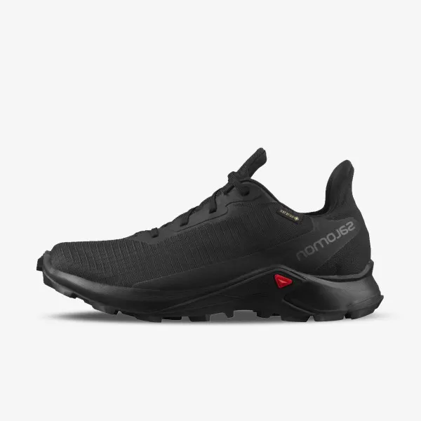 Salomon ALPHACROSS 3 GORE-TEX 