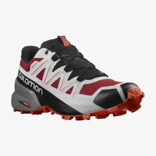Salomon SPEEDCROSS 5 GTX 