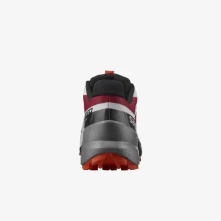 Salomon SPEEDCROSS 5 GTX 