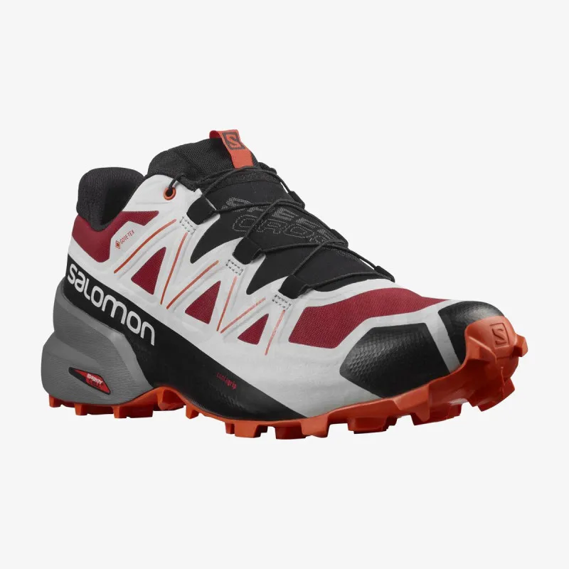 Salomon SPEEDCROSS 5 GTX 