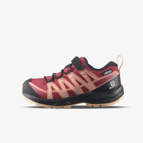 Salomon Xa Pro V8 