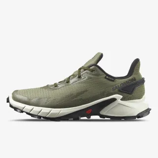 Salomon ALPHACROSS 4 GTX 