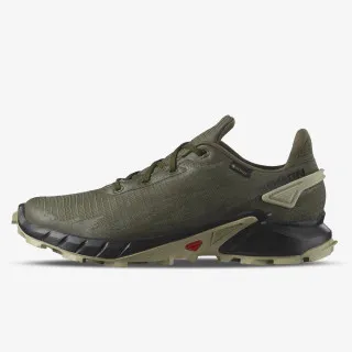 Salomon Alphacross 4 Gore-Tex 