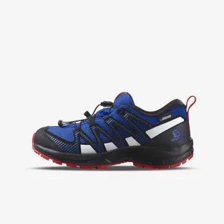 Salomon XA Pro V8 CSWP 