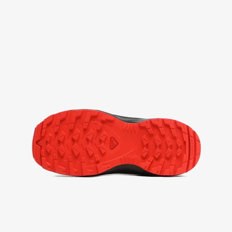 Salomon Xa Pro V8 
